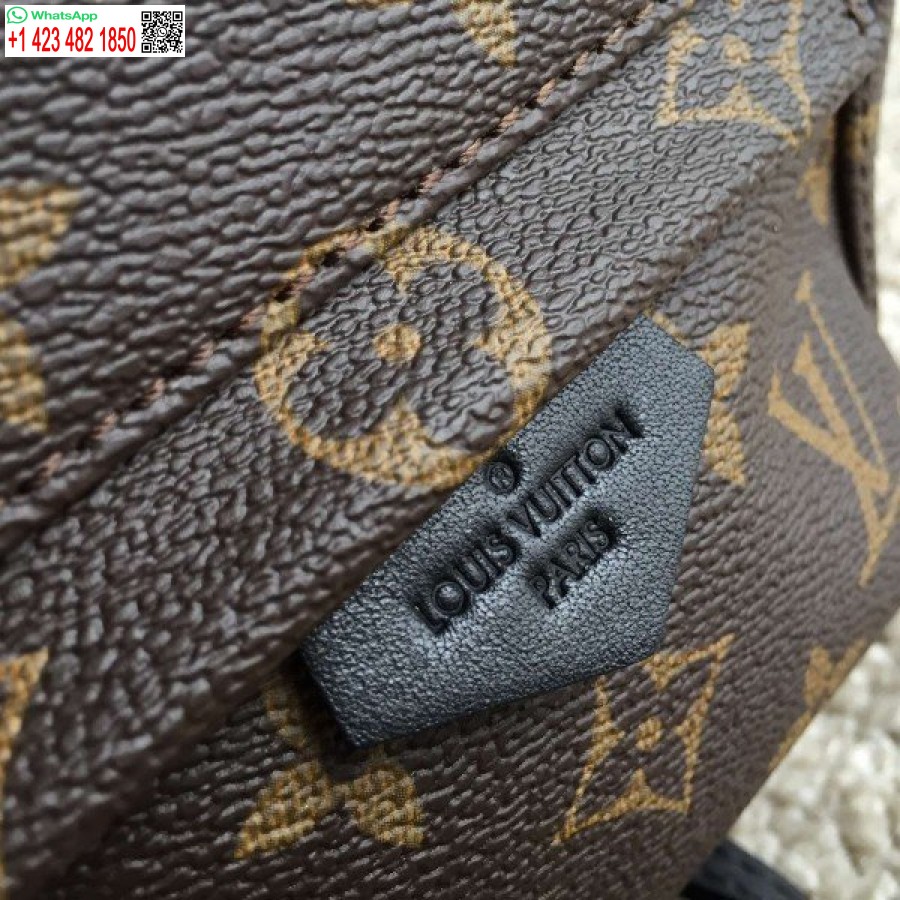 Kopi Louis Vuitton Palm Springs Mini Ryggsekk M41562 Blv017