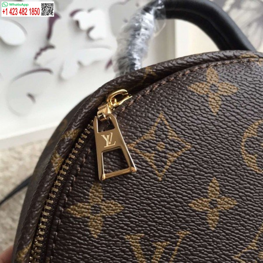 Kopi Louis Vuitton Palm Springs Mini Ryggsekk M41562 Blv017