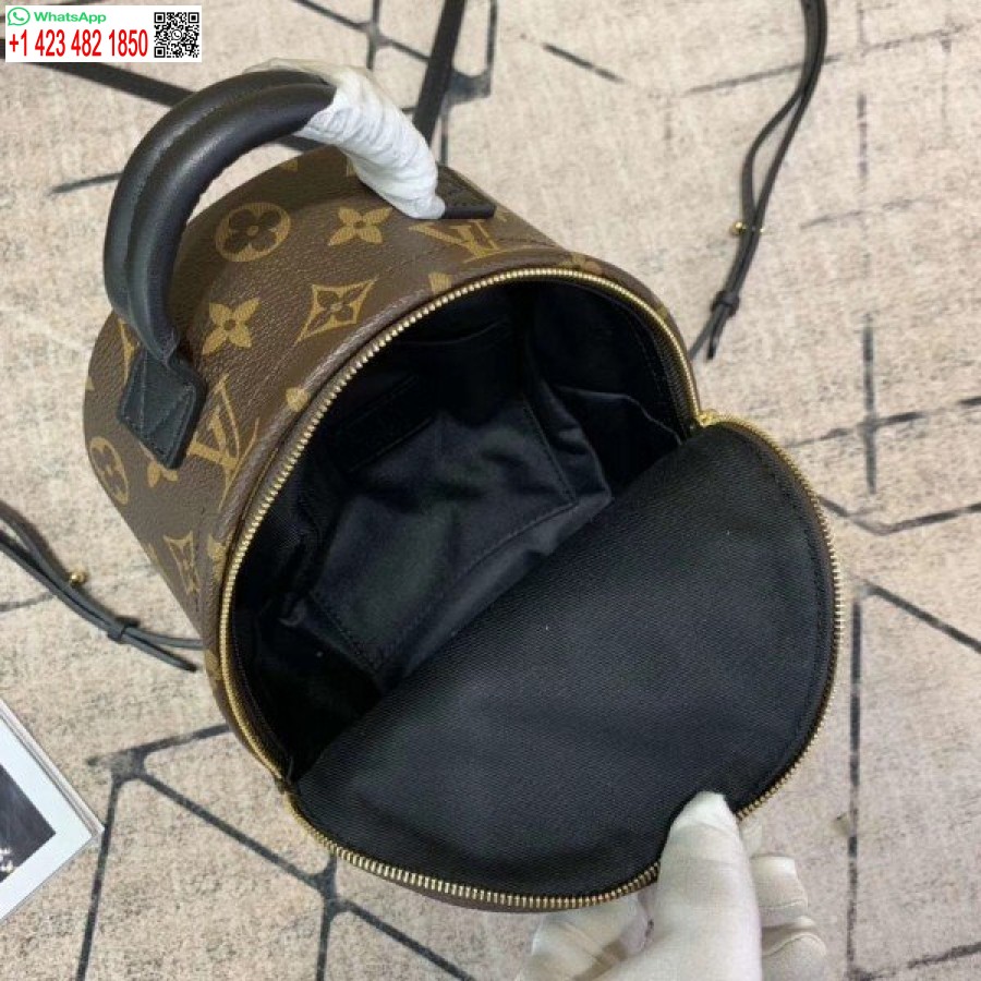 Replica Louis Vuitton Mini Palm Springs Reppu M44873 Blv008