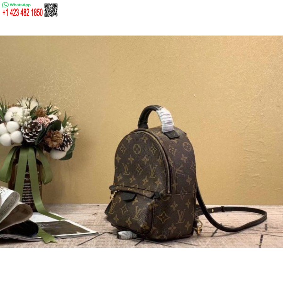 Replica Louis Vuitton Mini Palm Springs Reppu M44873 Blv008