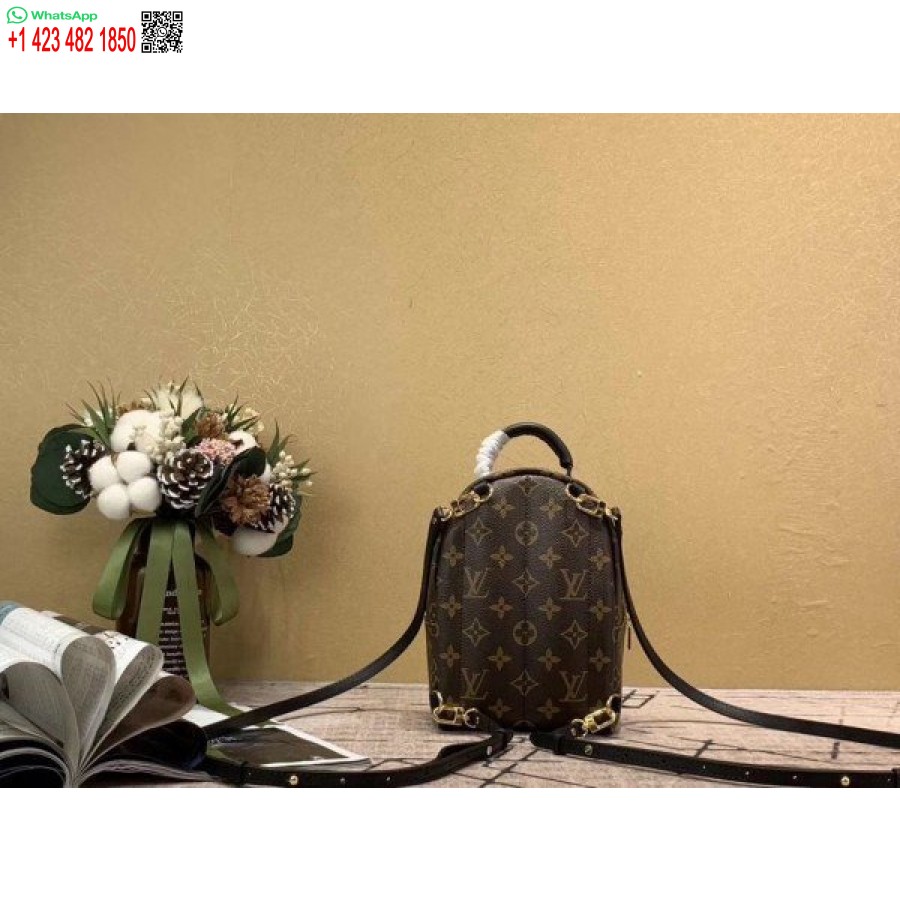 Replica Louis Vuitton Mini Palm Springs Reppu M44873 Blv008
