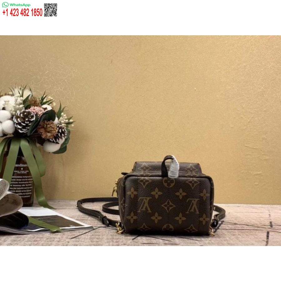 Replica Louis Vuitton Mini Palm Springs Reppu M44873 Blv008