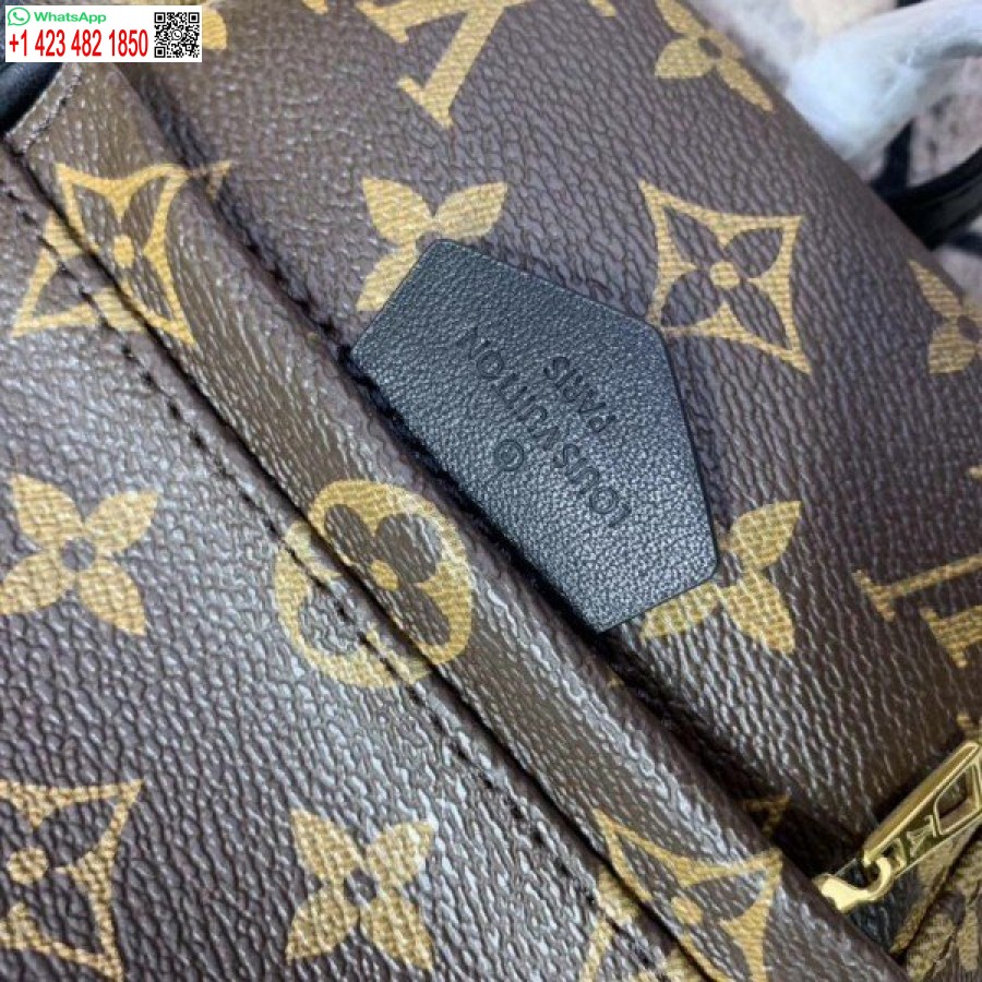 Replica Louis Vuitton Mini Palm Springs Reppu M44873 Blv008